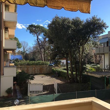 Appartamento City Garden Виареджо Экстерьер фото